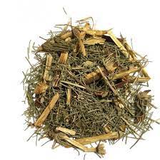 عشبة ذيل الحصان